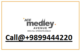 Ace Medley Avenue Ghy