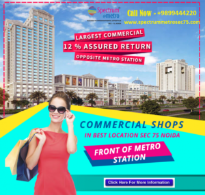 Spectrum Metro Review